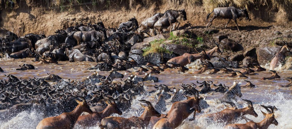 Tanzania tours and wildlife viewing